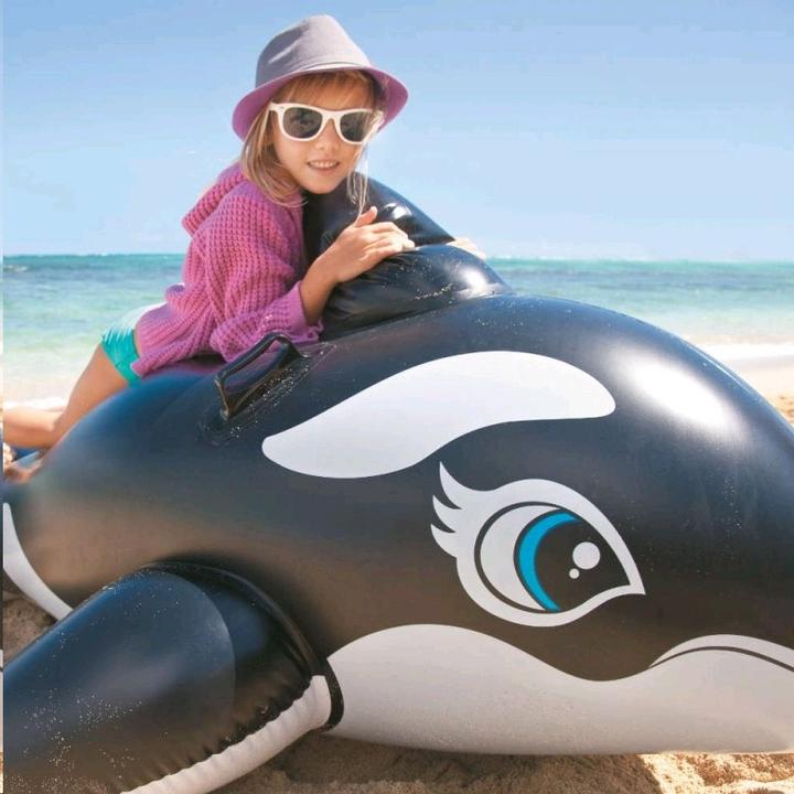Actual product image Intex Whale
