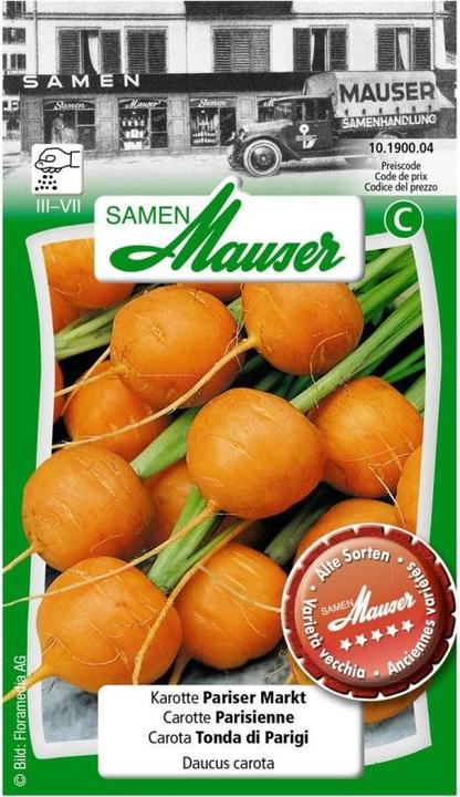 Samen Mauser Carrot Paris market (Vegetable seeds)