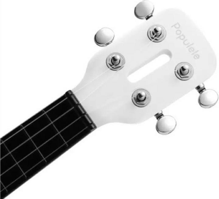 Actual product image Populele Plus (Electrical)