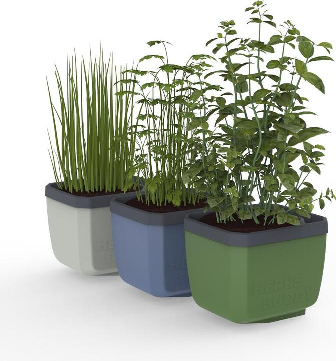 Actual product image Gusta Garden Herbs Buddy (16 x 14 x 13 cm)