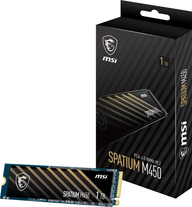 MSI Spatium M450 (1000 GB, M.2 2280)