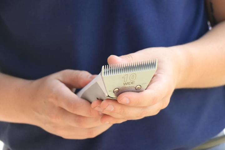 Produktbild Oster Hundescherkopf Motormaschine (Hund)