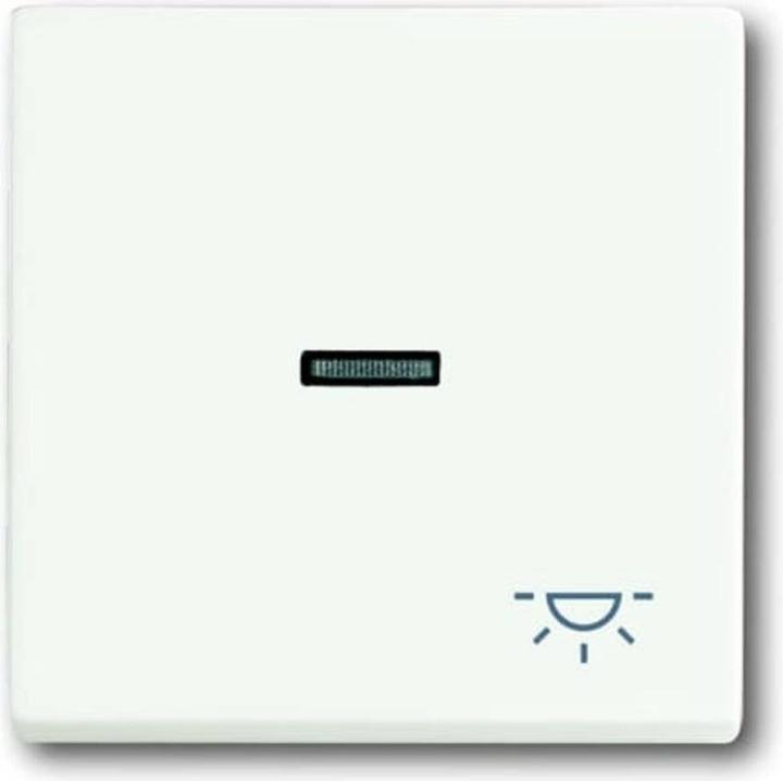 Produktbild Busch-Jaeger Wippe