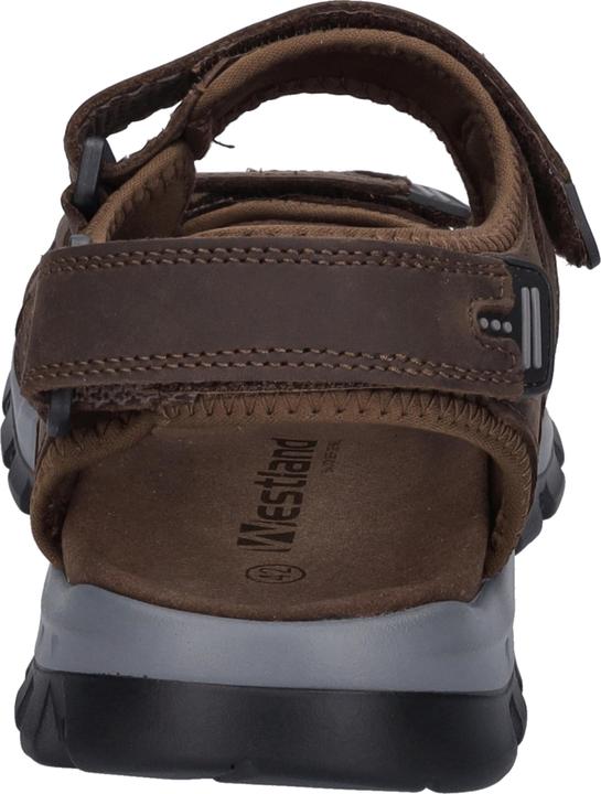 Actual product image Westland 17501-TE508 (42)