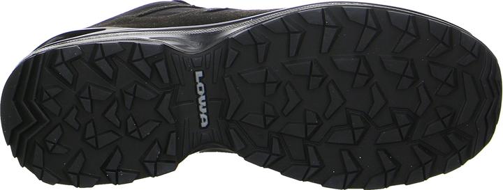 Actual product image Lowa Innox Evo II GTX (49.5)