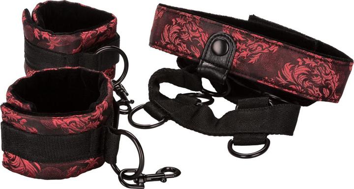 Image du produit CalExotics Scandal Collar Body Restraint