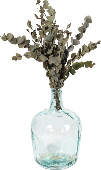 Image du produit Dijk Eucalyptus - Eucalyptus (Fleurs séchées)