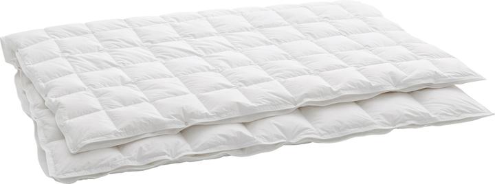 Immagine prodotto Dauny Piumino PERFETTO LIGHT (870 g, 200 x 210 cm)