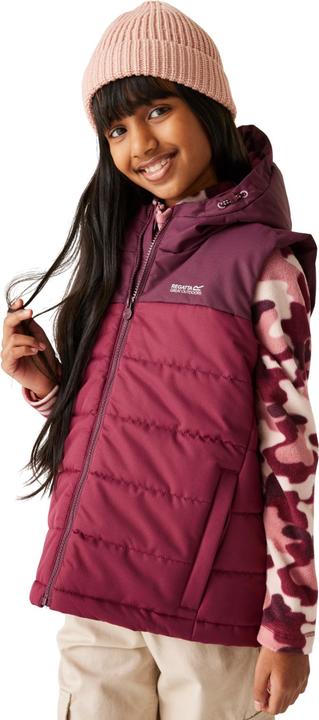 Produktbild Regatta Lofthouse Weste (128)