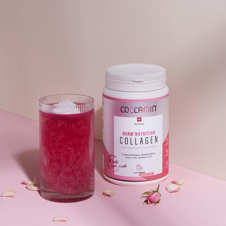 Produktbild Collamin Derm'Nutrition Collagen (Pulver, 480 g)