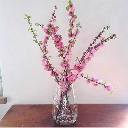 Produktbild Weck Einmachglas (1 Stk., 2.70 l)