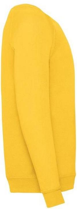 Immagine prodotto Fruit of the Loom UTBC1365 P (12XL)