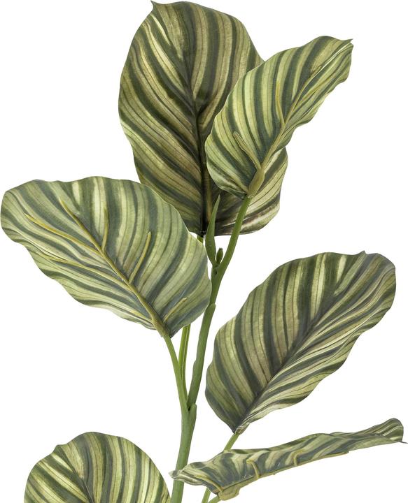 Immagine prodotto Bloomingville Zebra (79 cm)