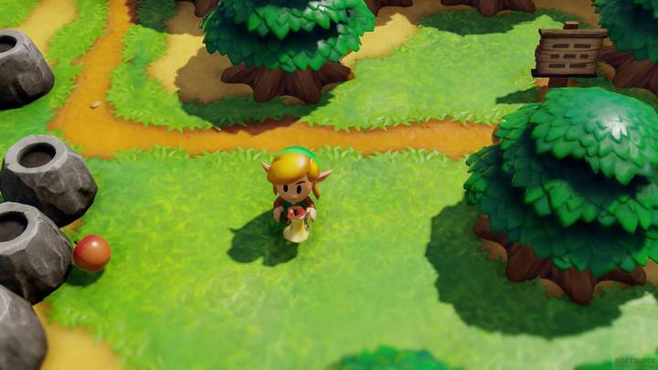 Actual product image Nintendo The Legend of Zelda: Link's Awakening (Switch, IT)