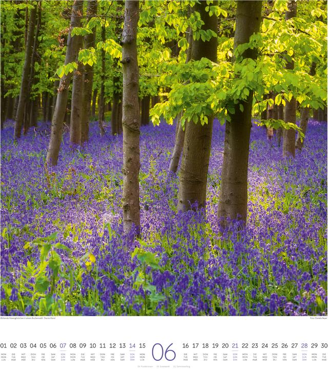 Image du produit Lichtblicke Kalender 2026 (48 x 54 cm, Couverture rigide, Allemand, Anglais, Français)