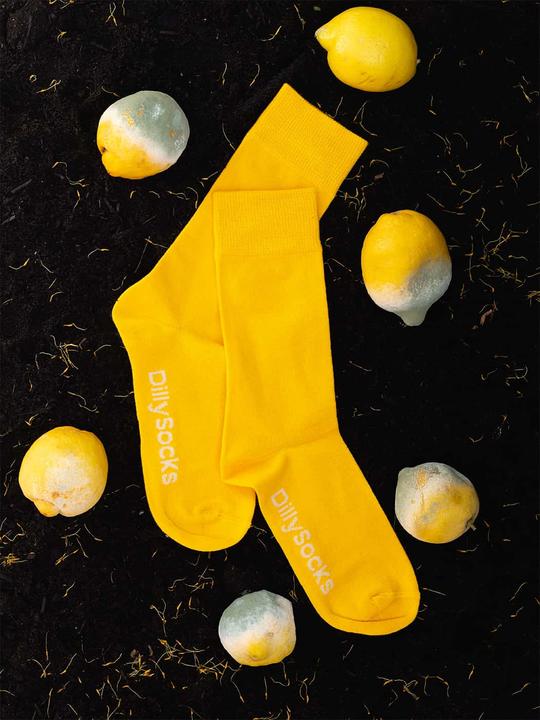 Image du produit DillySocks D-Compose (lot de 2, 43 - 46)