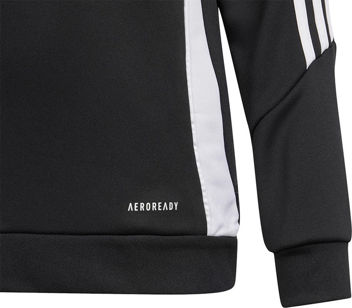 Actual product image adidas TIRO24 TRHOOD Y (116)