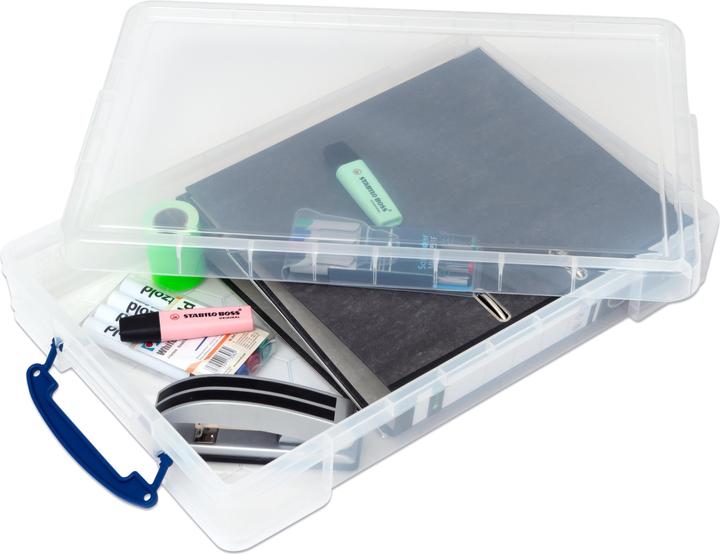 Actual product image Box Storage 10 l (52 x 34 x 8.5 cm, 10 l)