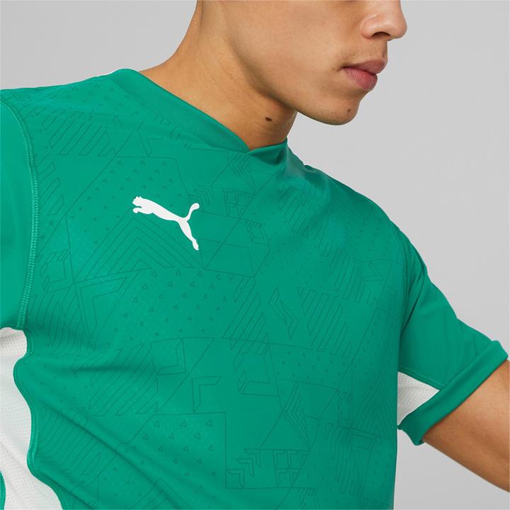 Image du produit Puma teamCUP Jersey (L)