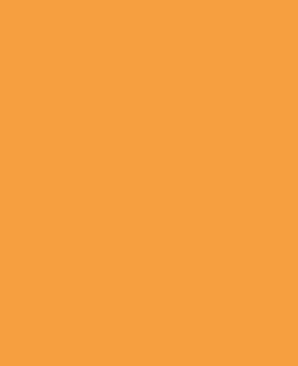 Actual product image Kreul Kids Art Children's Artist Paint (Orange, 75 ml)