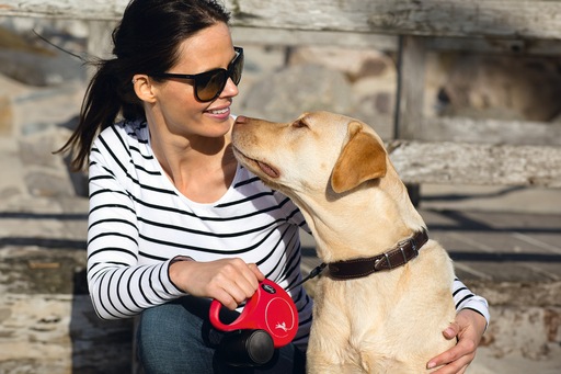 Produktbild Flexi New Classic Seil (M, Hund, Spazieren)