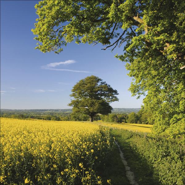 Actual product image Augenblicke der Stille 2026 (30 x 30 cm)