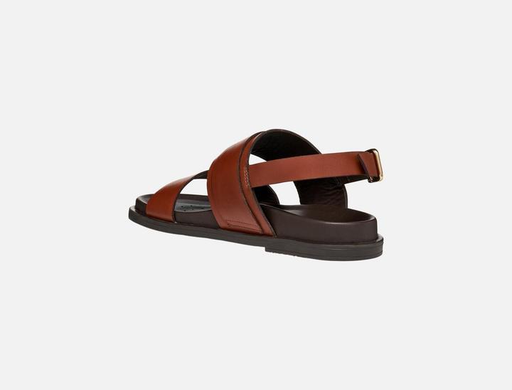Actual product image Geox Adelash (40)