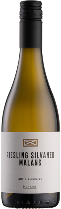 Immagine prodotto Von Salis Malans Riesling Silvaner (1 x 50 cl, 2018)