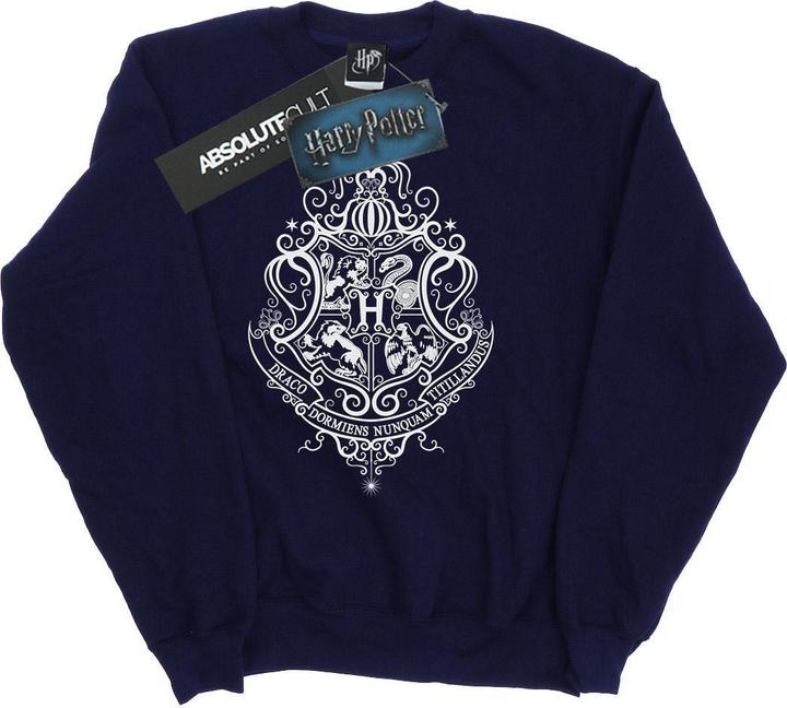 Produktbild Hogwarts Draco Dormiens Crest Sweatshirt Mädchen (140, 146)