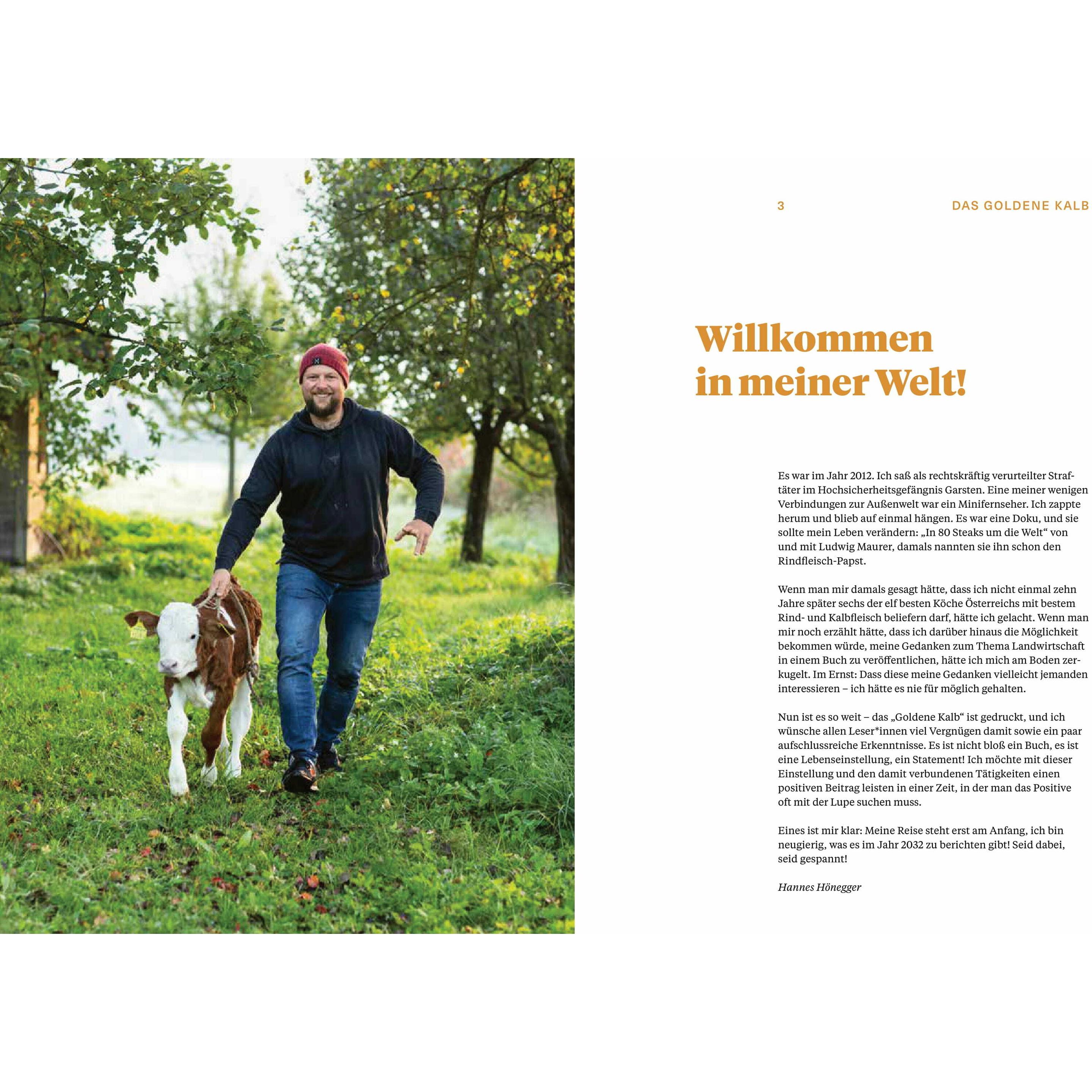 Thumbnail - Das goldene Kalb, Fachbücher von Hannes Hönegger
