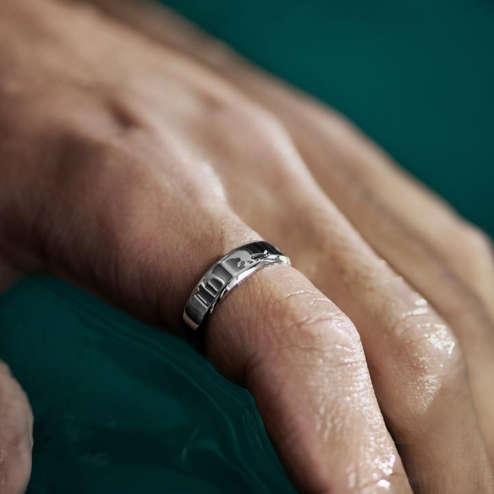 Produktbild Seizmont Argentia (60)