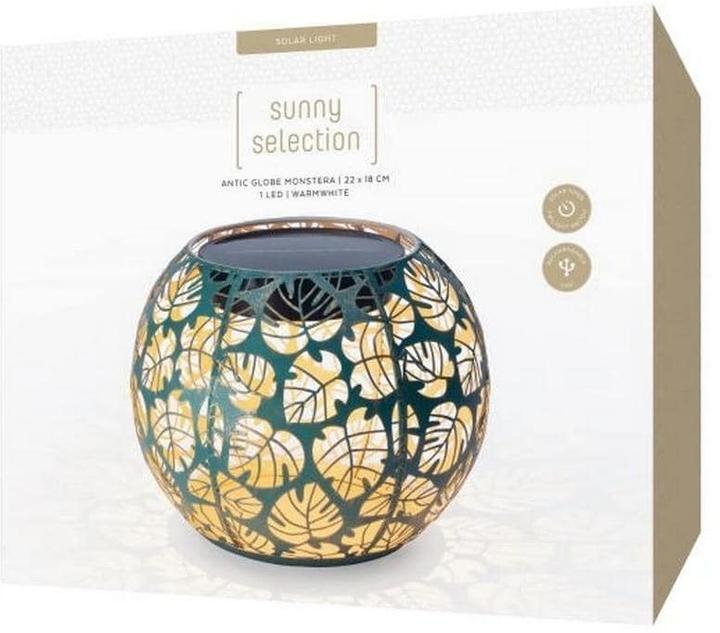 Image du produit STT Monstera