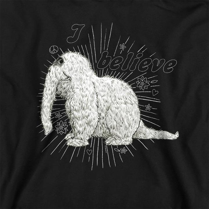 Produktbild Sesame Street I Believe Sweatshirt (M)