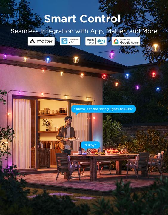 Actual product image Govee Outdoor Clear Bulb String Lights (16 m)