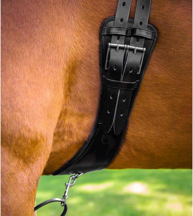 Image du produit Premier Equine Tamarro
