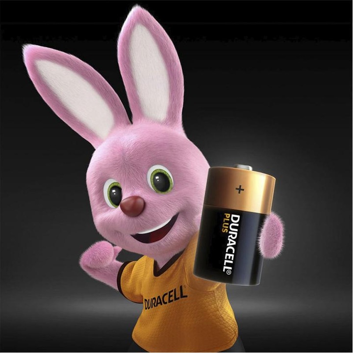 Immagine prodotto Duracell Inoltre (4 pz., D)