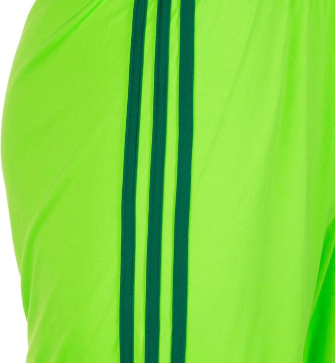 Image du produit adidas Regista 18 Short Hommes (M)