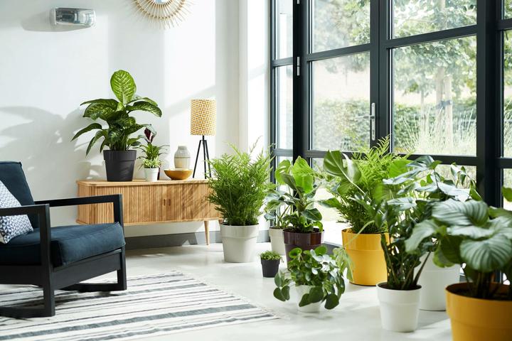 Produktbild Elho B.for Original (30 x 27.30 cm)