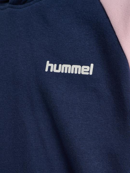 Produktbild hummel Hmljr Loose Blocked Hoodie (104)