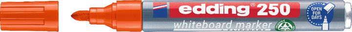 Actual product image Edding 250 (1x)
