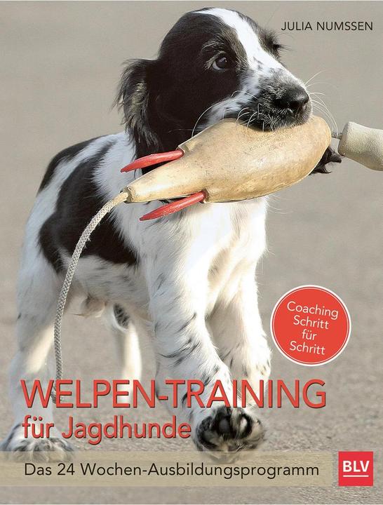 Actual product image Welpen-Training für Jagdhunde (German, Julia Numssen, 2016)