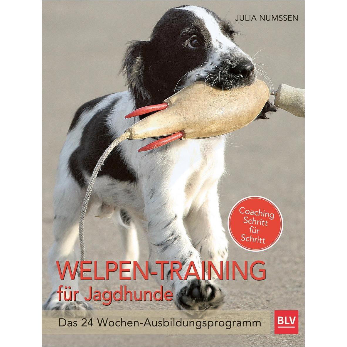 Welpen-Training für Jagdhunde, Ratgeber von Julia Numssen