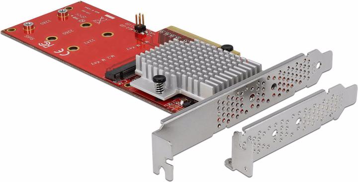 Actual product image Delock PCI-Ex8 card, NVMe