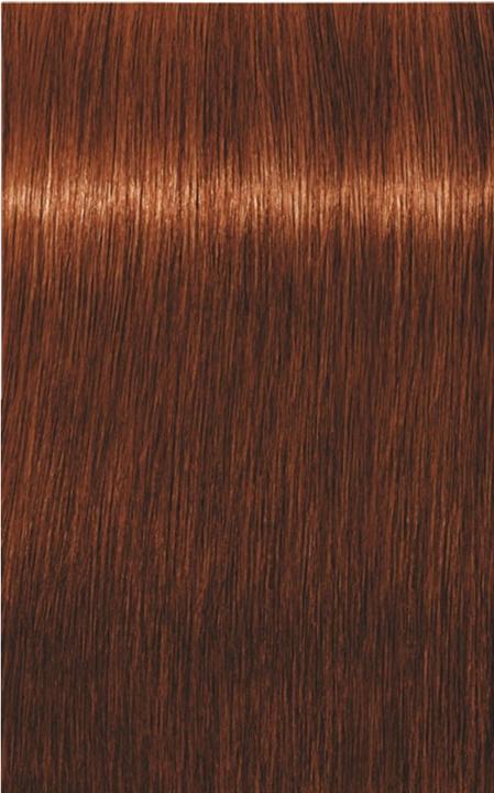 Produktbild Schwarzkopf Professional Igora Royal Absolutes Age Blend (6-70 Dunkelblond Kupfer Natur)