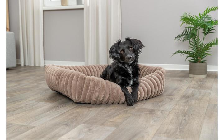 Actual product image Trixie Lonni (Dog)