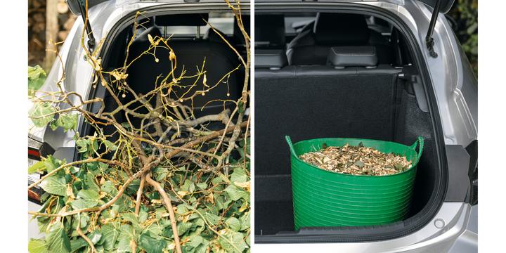 Immagine prodotto Bosch Home & Garden AXT Rapid 2000