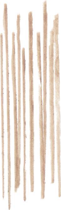 Actual product image Bobbi Brown BB Brow - Precise Brow Pencil Neutral Blonde (Neutral Blonde)