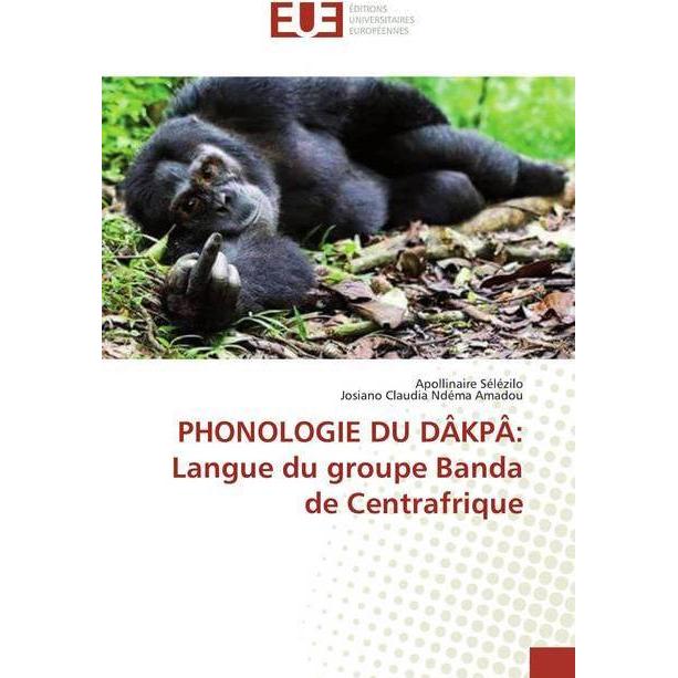 Thumbnail - PHONOLOGIE DU DÂKPÂ: Langue du groupe Banda de Centrafrique, Fachbücher von Apollinaire Sélézilo, Josiano Claudia Ndéma ...