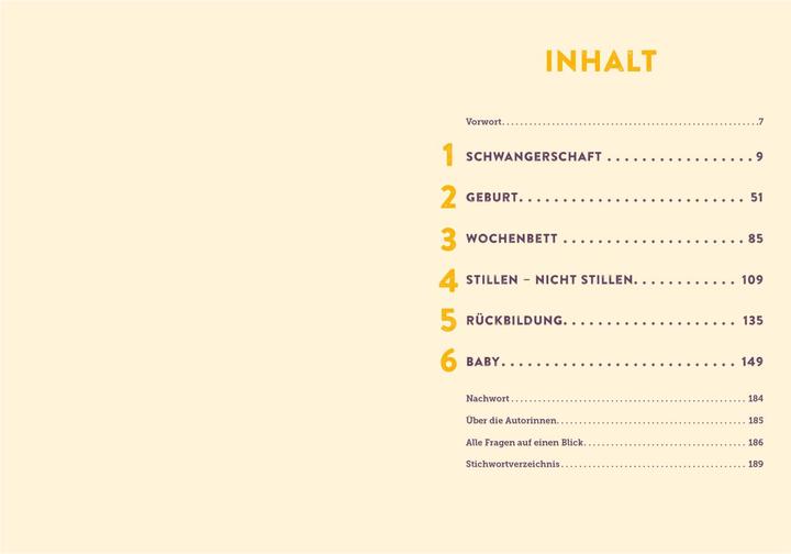 Image du produit 100 Fragen an deine Hebamme (Allemand, Julia Brömsen, Jasmin Czech, 2023)