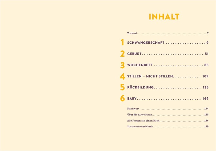 Produktbild 100 Fragen an deine Hebamme (Deutsch, Julia Brömsen, Jasmin Czech, 2023)